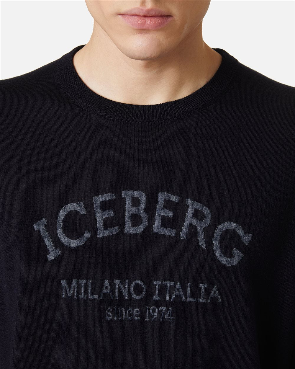 Malha Iceberg