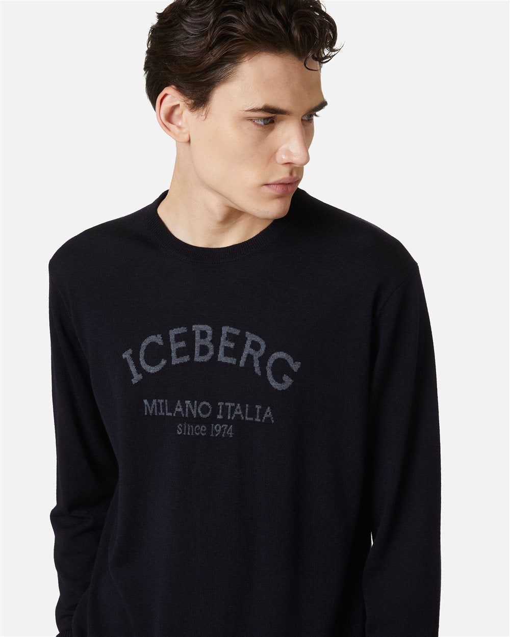 Malha Iceberg