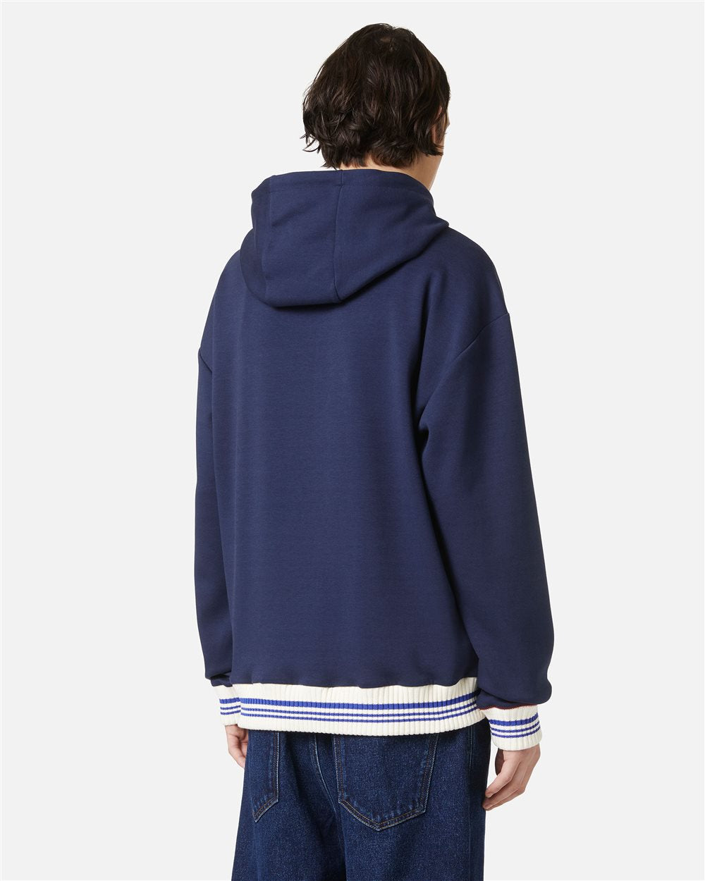 Hoodie Iceberg