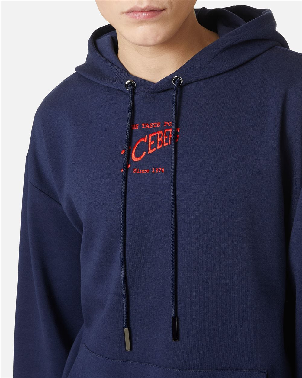 Hoodie Iceberg