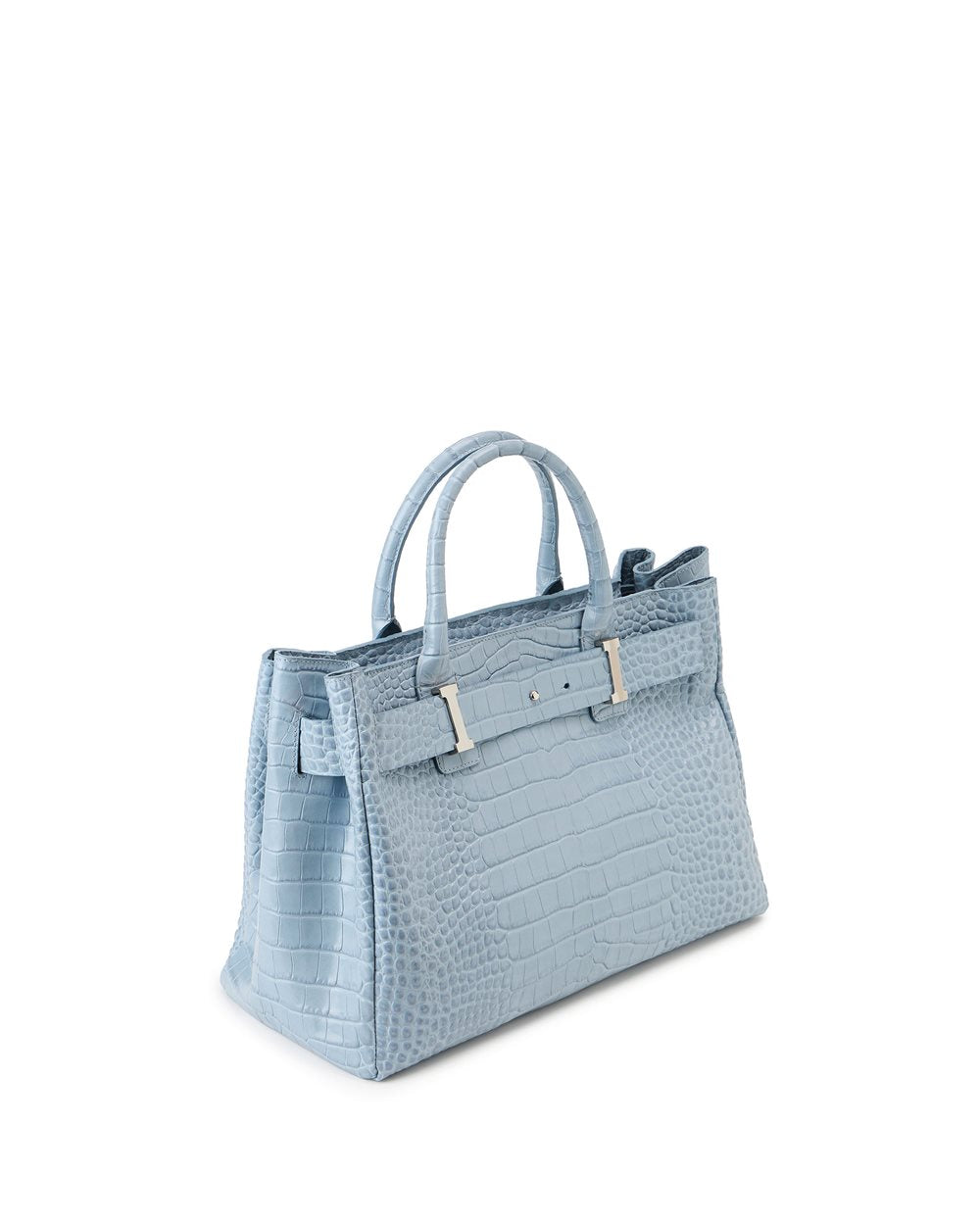 Bag Iceberg