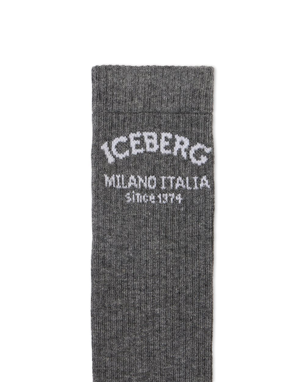 Iceberg Socks