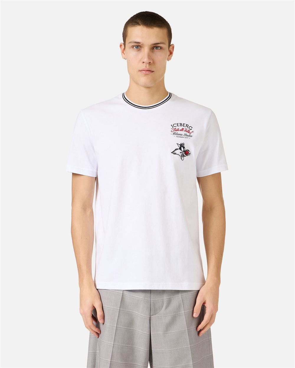 T-shirt Iceberg